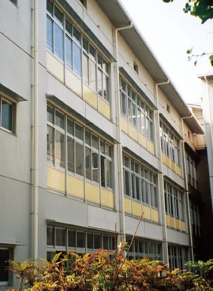AF50